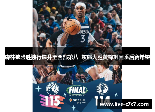 森林狼险胜独行侠升至西部第八 灰熊大胜黄蜂巩固季后赛希望